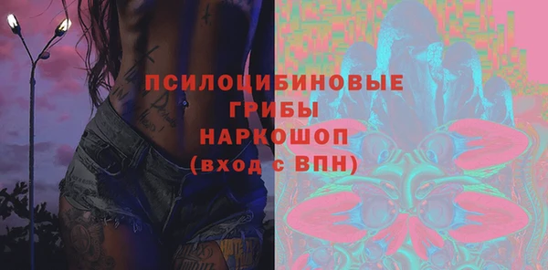apvp Дмитровск