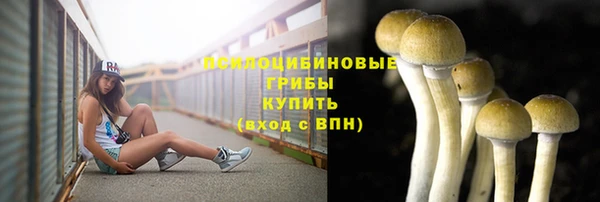 дурь Алексеевка