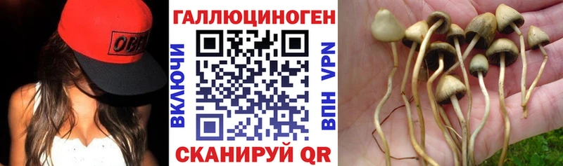 даркнет официальный сайт  Орёл  Галлюциногенные грибы MAGIC MUSHROOMS 